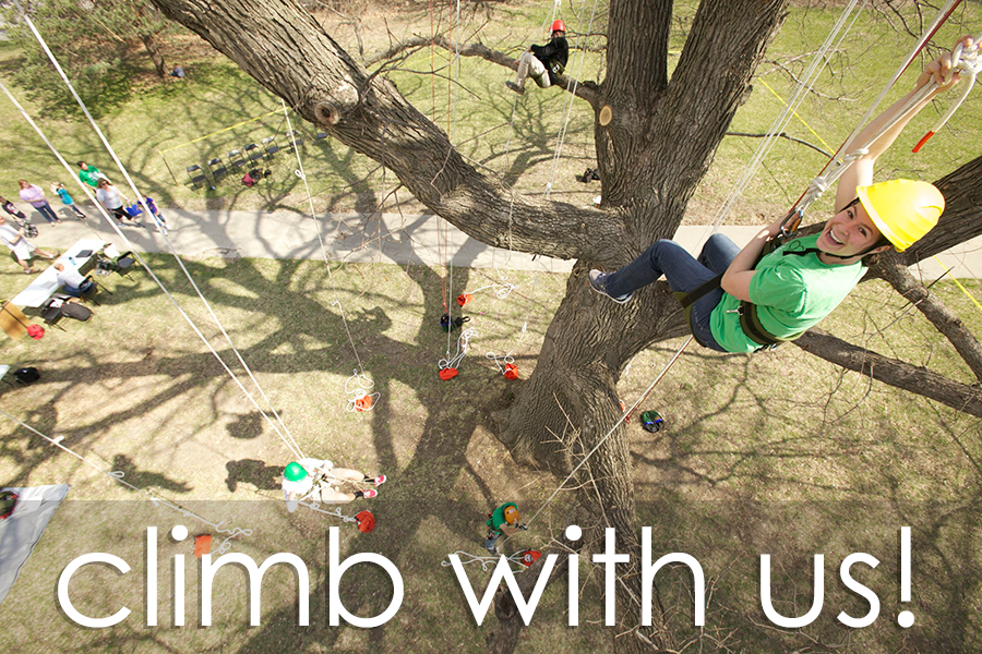 Climb a tree with us! 
